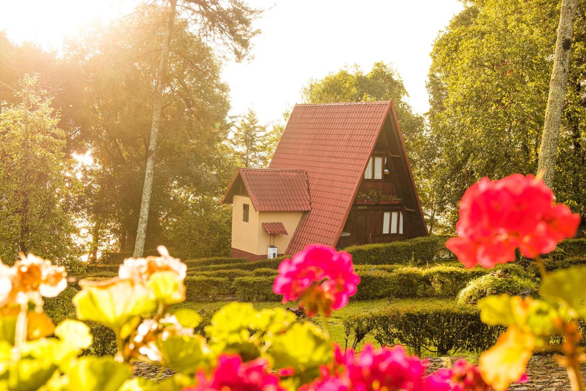 Zirahuen Forest And Resort ภายนอก รูปภาพ