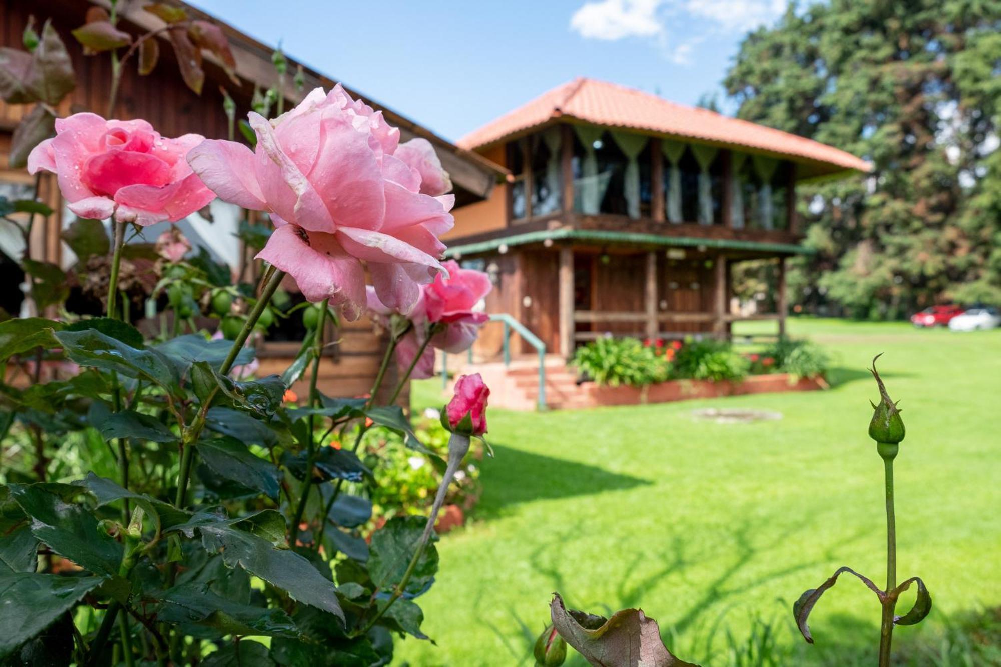 Zirahuen Forest And Resort ภายนอก รูปภาพ